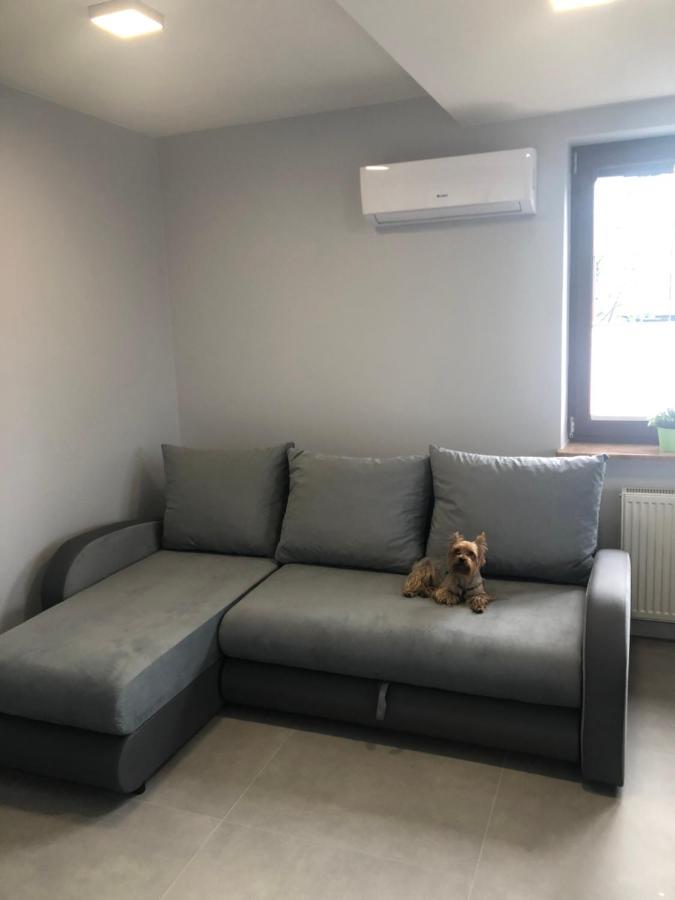 Klimatyzowane Apartamenty I Pokoje Przy Targach Kielce Exterior foto